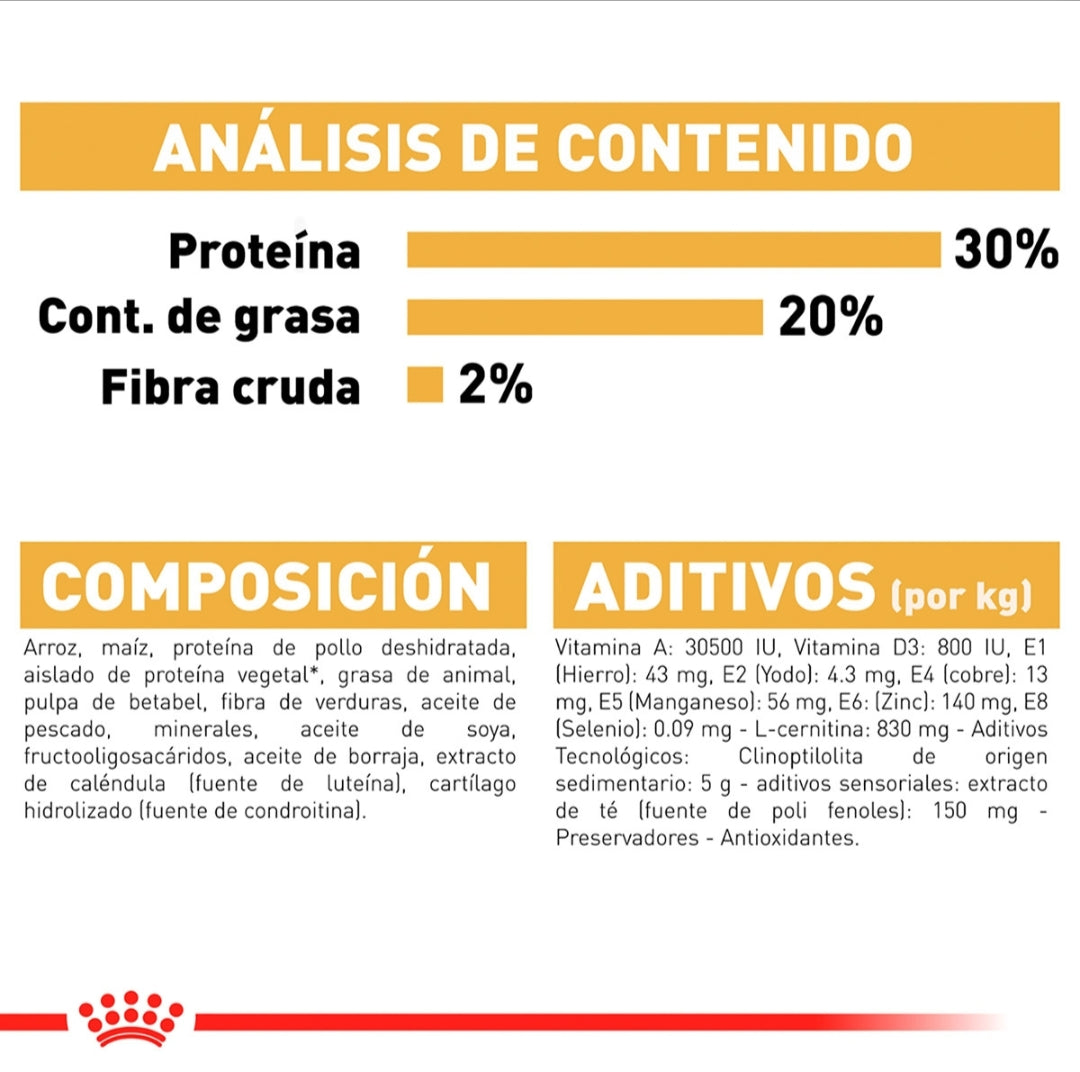Royal Canin Chihuahua Adulto