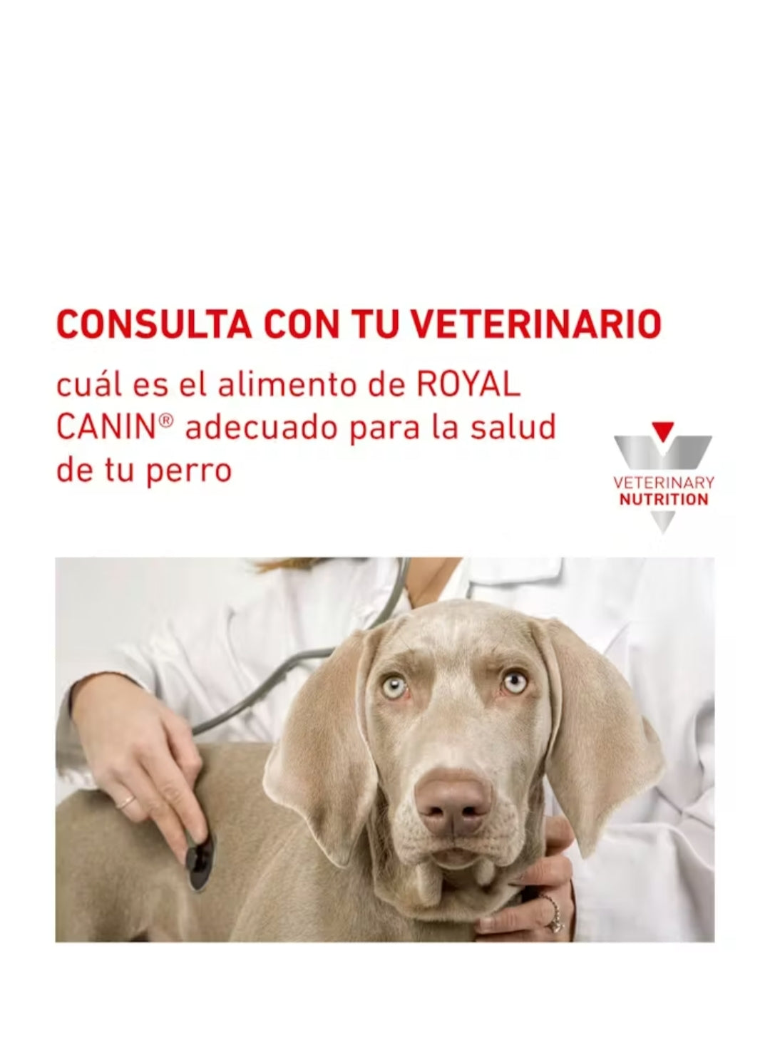 Royal Canin Hydrolyzed Protein (Hidrolizado)