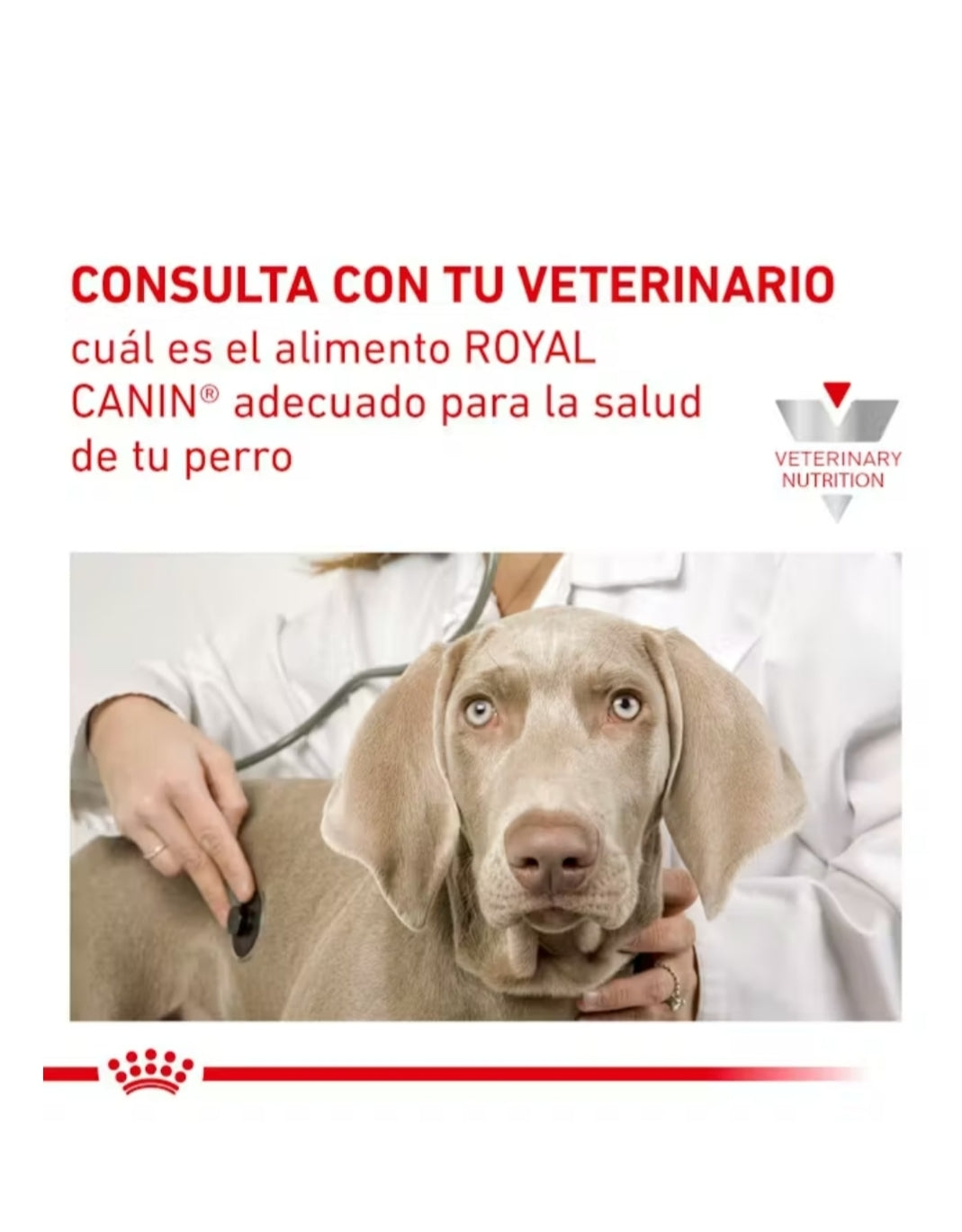 Royal Canin Satiety Support Weight Management para Perro