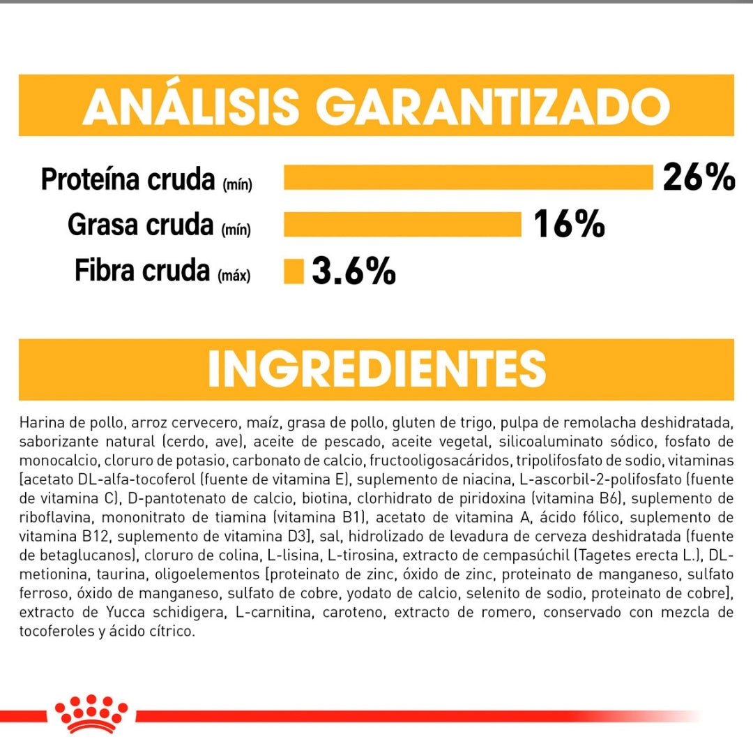 Royal Canin Shih Tzu Cachorro
