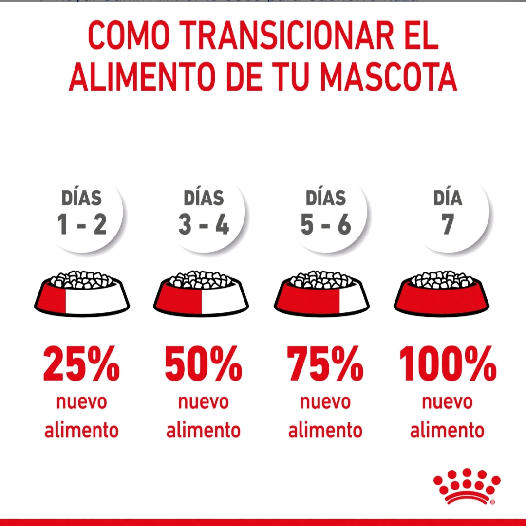 Royal Canin Cachorro Raza Pequeña