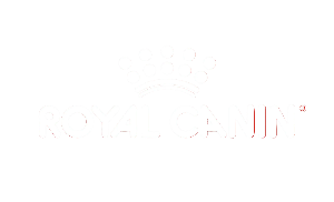 Announcement Logo