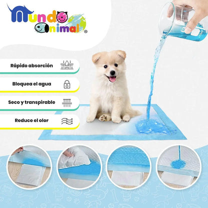 Tapetes Entrenadores para Perros | Súper Absorbentes y Anti-olores