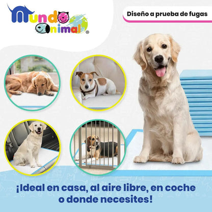 Tapetes Entrenadores para Perros | Súper Absorbentes y Anti-olores