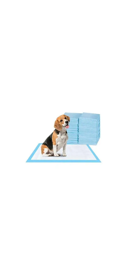 Tapetes Entrenadores para Perros | Súper Absorbentes y Anti-olores