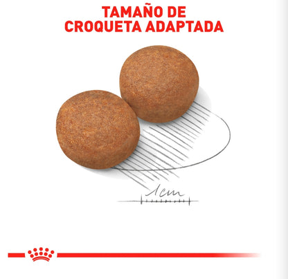 Royal Canin Adulto Raza Grande