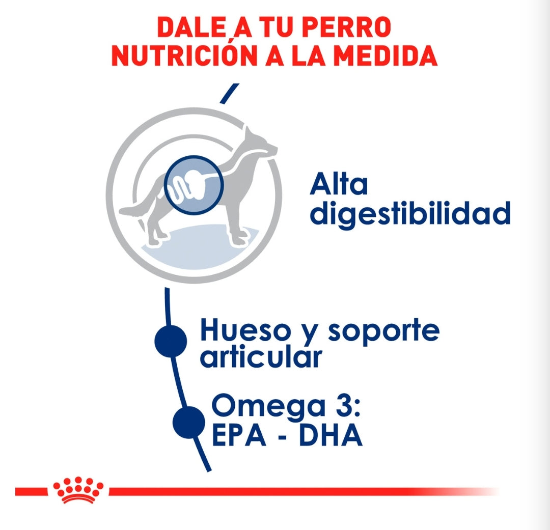 Royal Canin Adulto Raza Grande