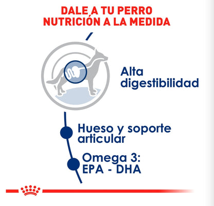 Royal Canin Adulto Raza Grande
