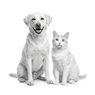 Royal Canin Anallergenic