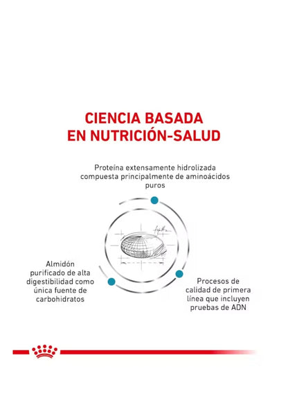 Royal Canin Anallergenic para Perro