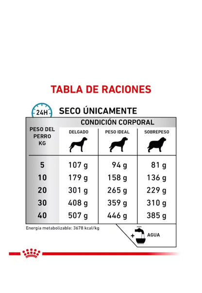 Royal Canin Anallergenic para Perro