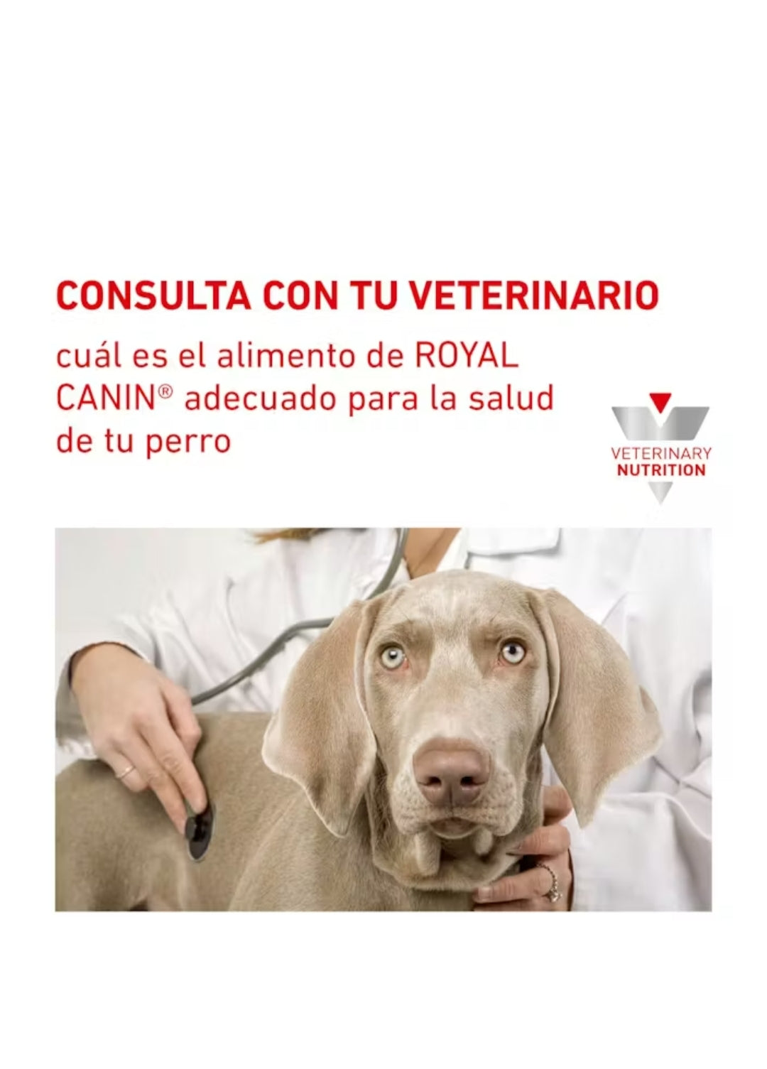 Royal Canin Anallergenic para Perro
