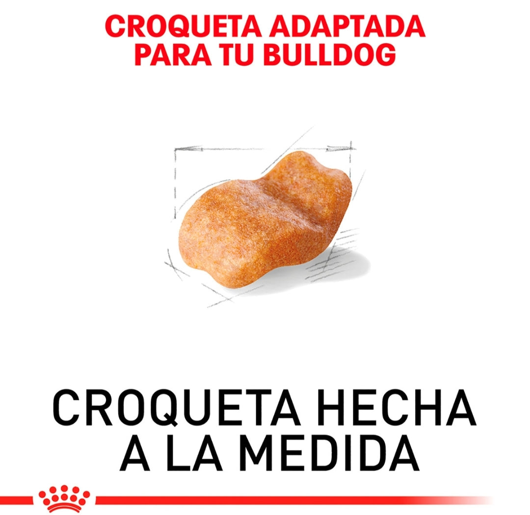Royal Canin Bulldog Inglés Adulto