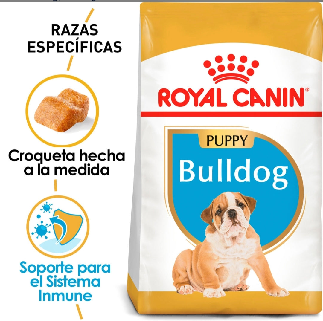 Royal Canin Bulldog Inglés Cachorro