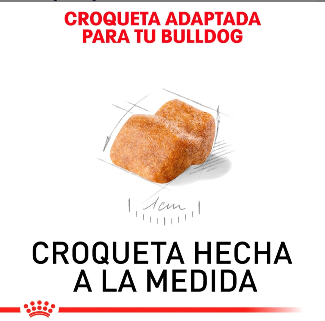 Royal Canin Bulldog Inglés Cachorro
