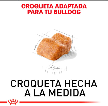 Royal Canin Bulldog Inglés Cachorro