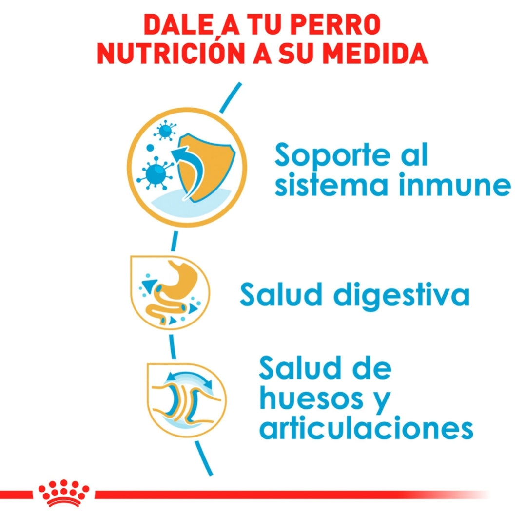 Royal Canin Bulldog Inglés Cachorro