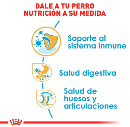 Royal Canin Bulldog Inglés Cachorro