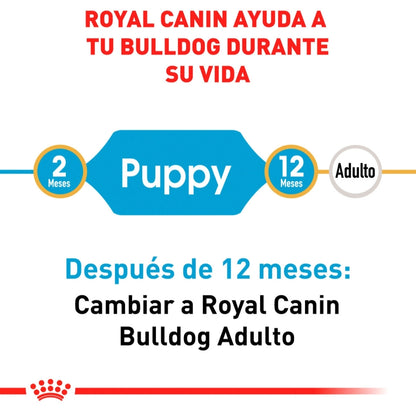 Royal Canin Bulldog Inglés Cachorro