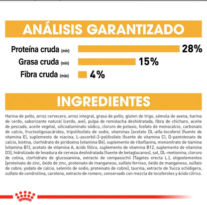 Royal Canin Bulldog Inglés Cachorro