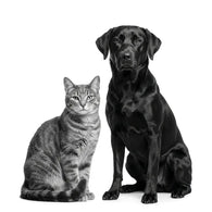 Royal Canin Calm / Ansiedad