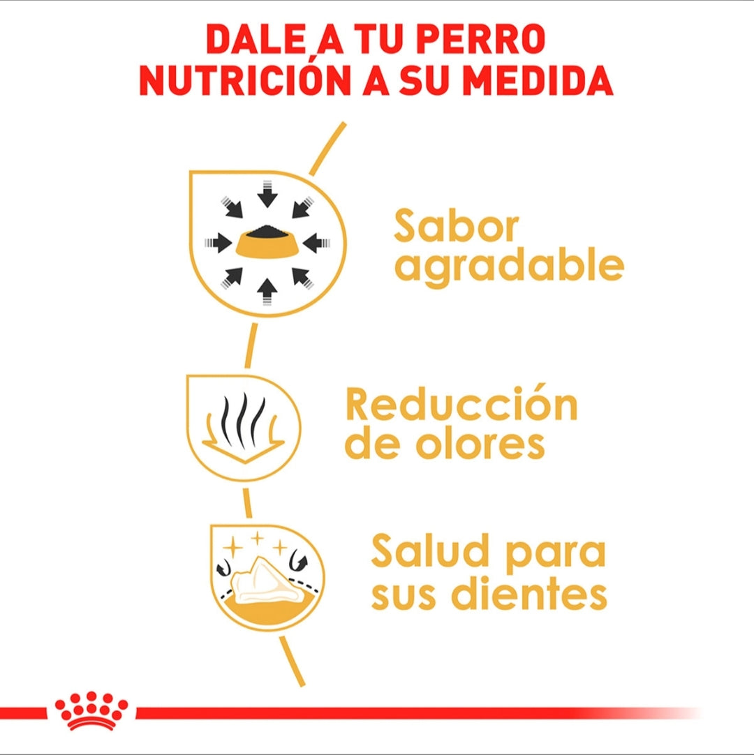 Royal Canin Chihuahua Adulto