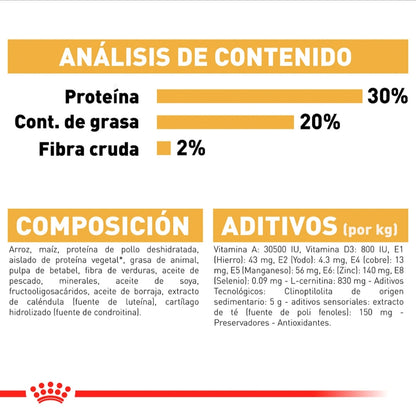 Royal Canin Chihuahua Adulto