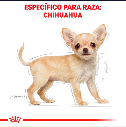 Royal Canin Chihuahua Puppy