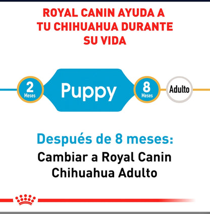 Royal Canin Chihuahua Puppy