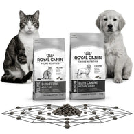 Royal Canin Croquetas