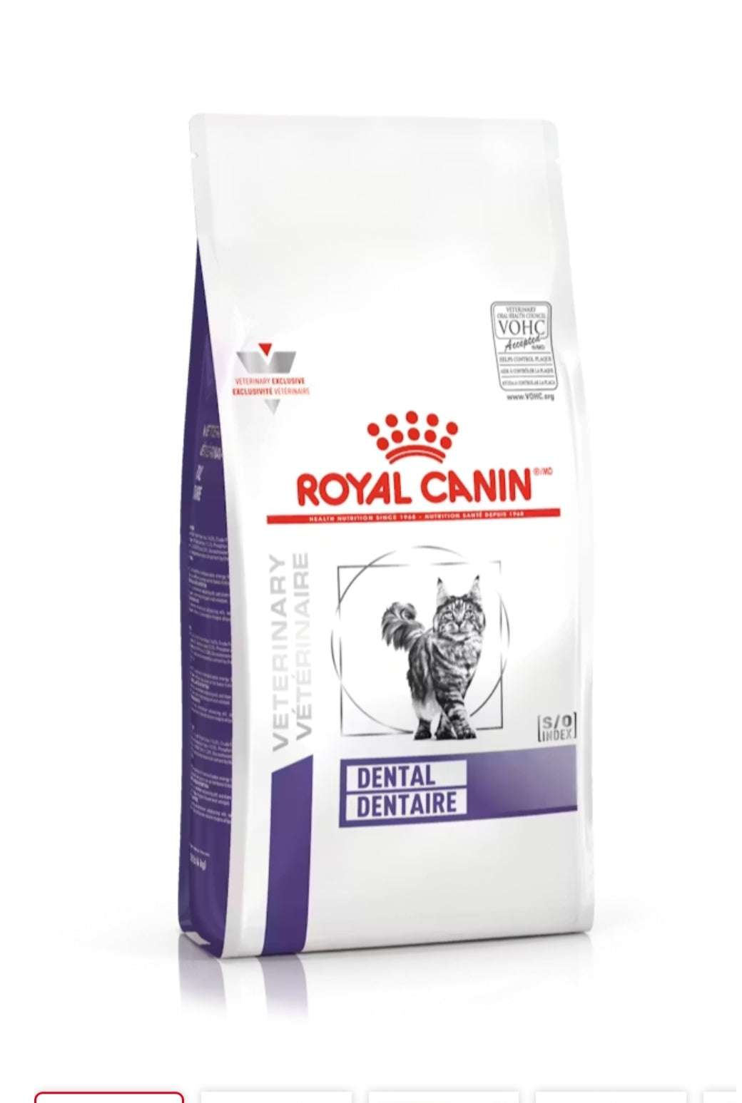 Royal Canin Dental Gato