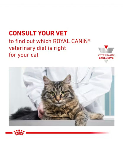 Royal Canin Dental Gato