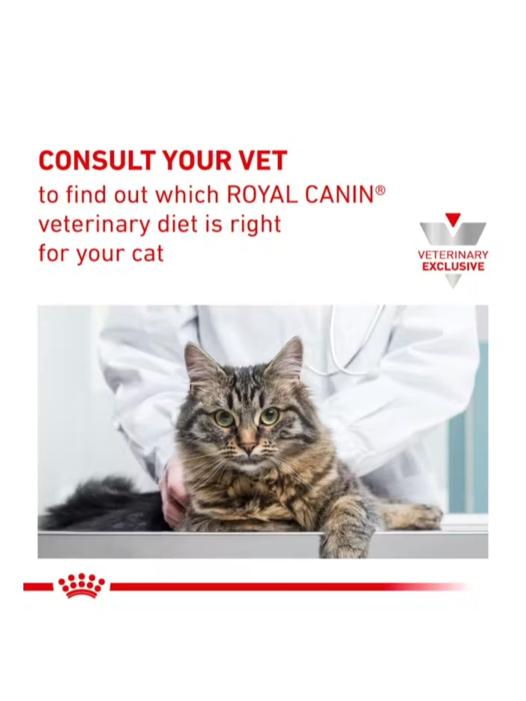 Royal Canin Dental Gato