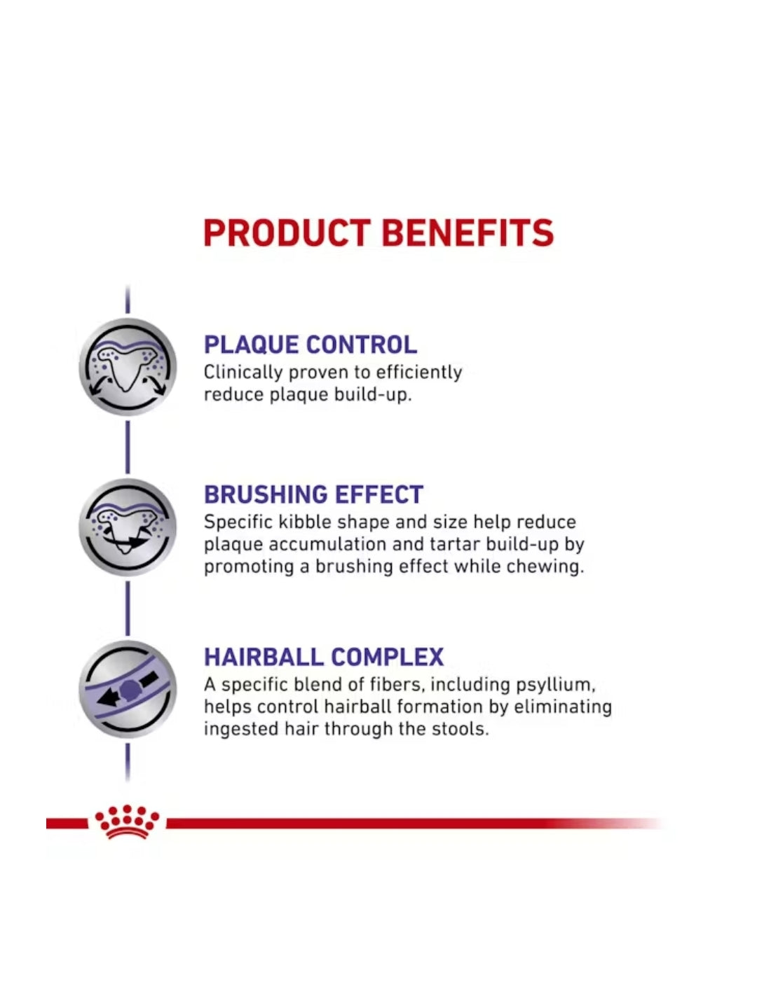 Royal Canin Dental Gato