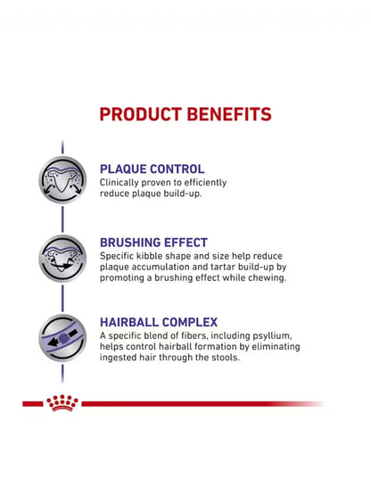 Royal Canin Dental Gato