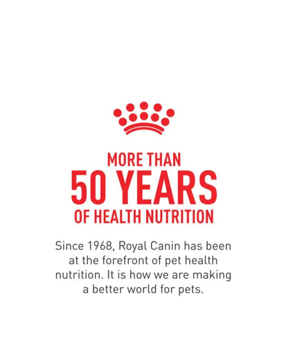 Royal Canin Dental Small Dog