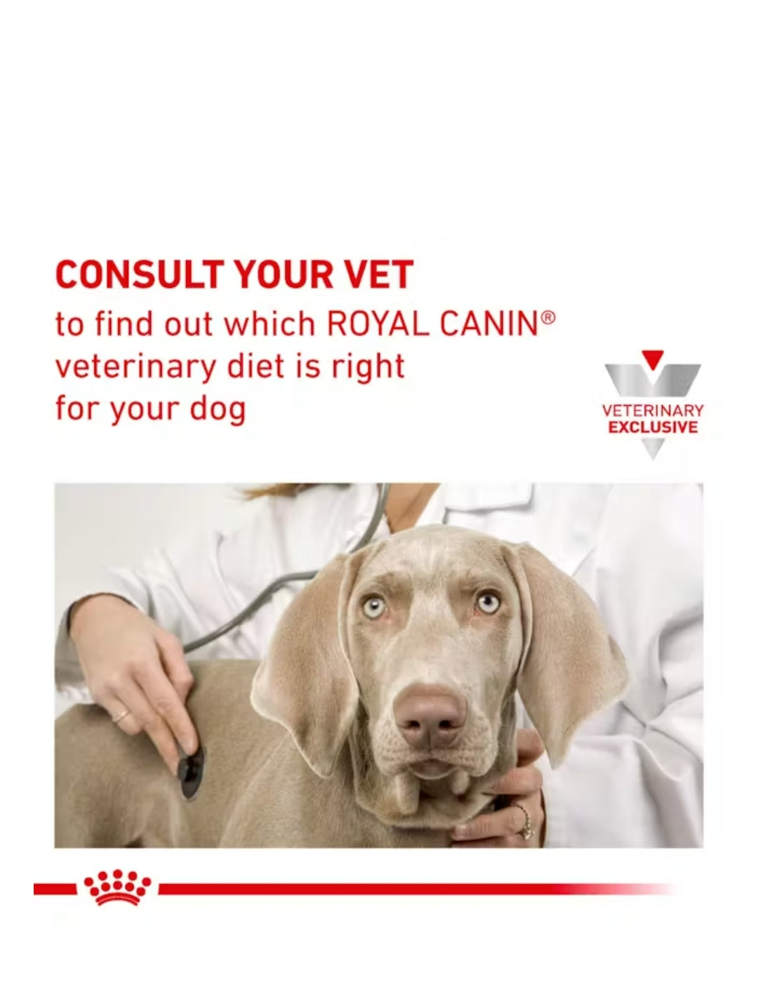 Royal Canin Dental Small Dog