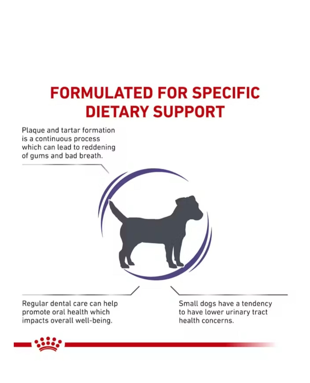 Royal Canin Dental Small Dog