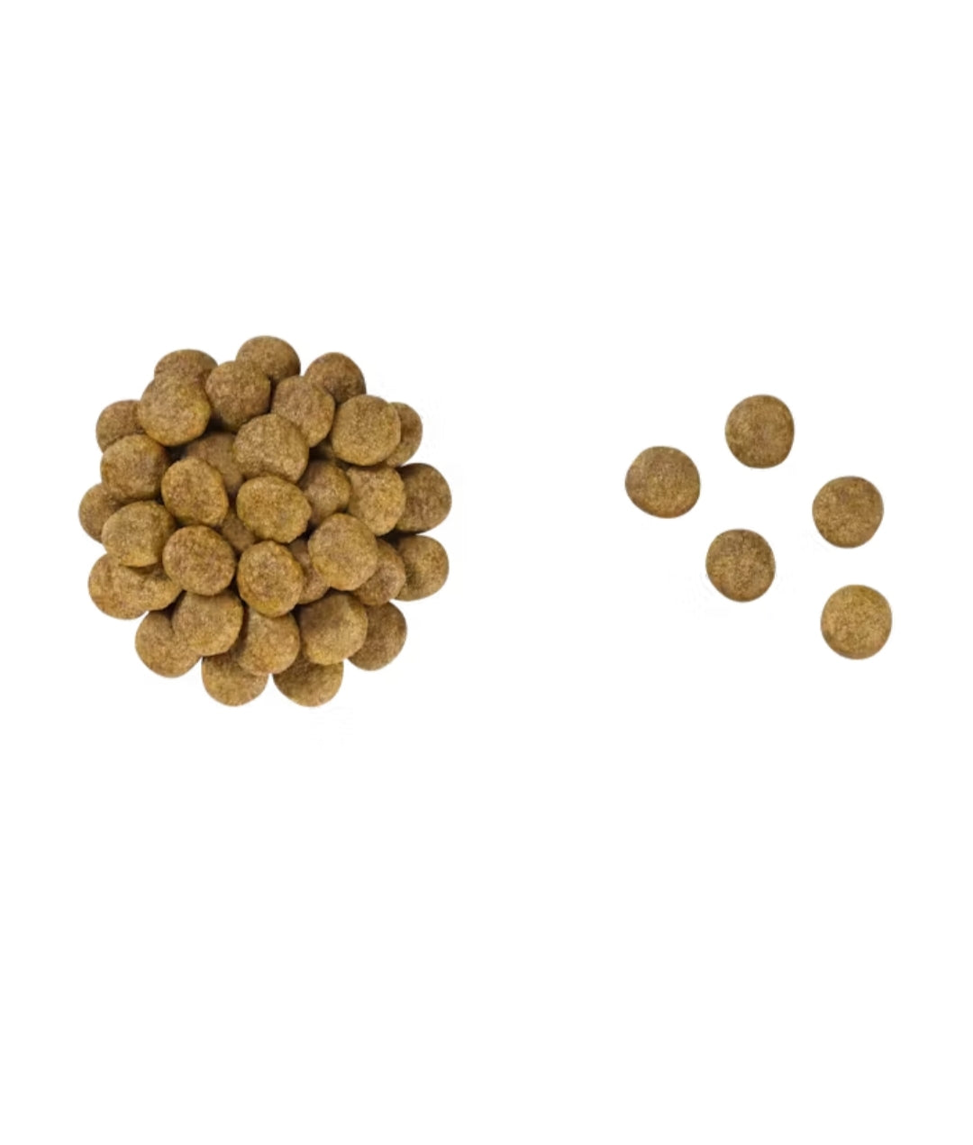 Royal Canin Early Cardiac