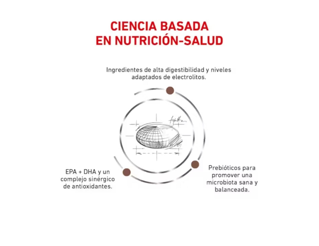 Royal Canin Gastrointestinal para Perro