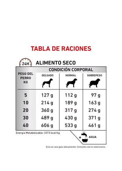 Royal Canin Gastrointestinal para Perro