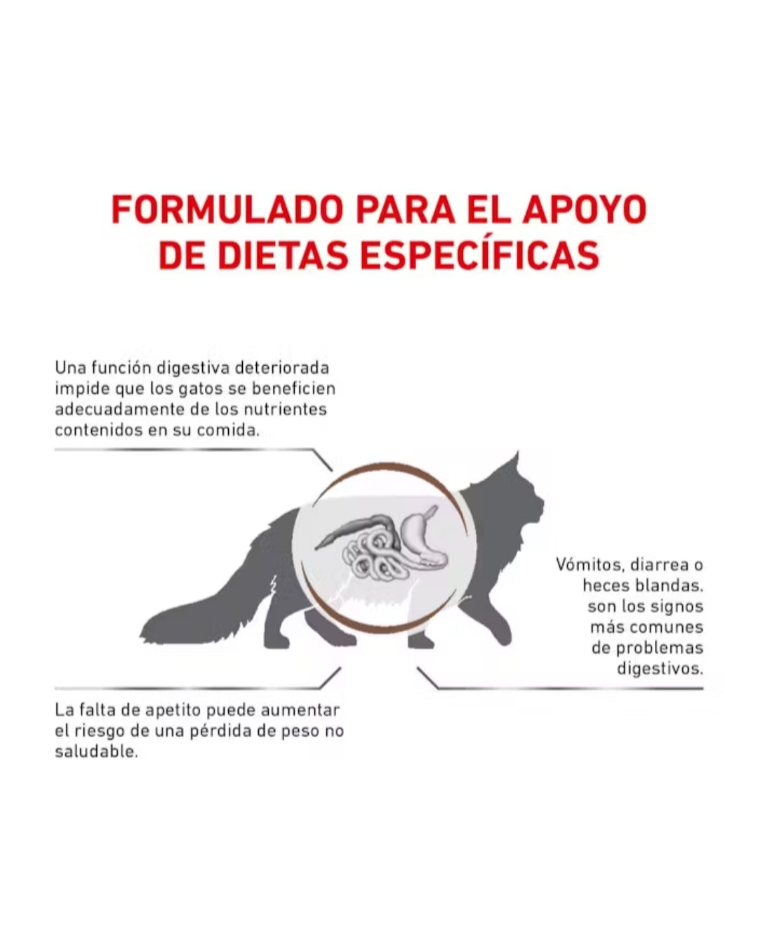 Royal Canin Gastrointestinal para Gato