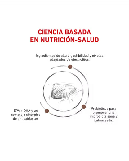 Royal Canin Gastrointestinal para Gato