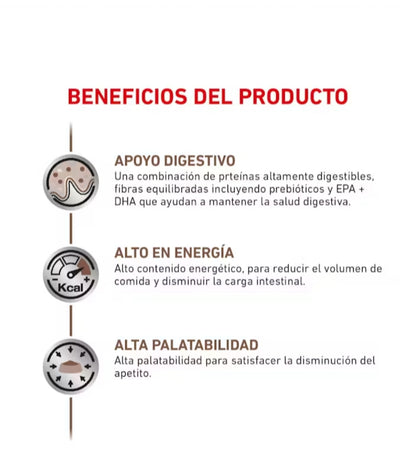 Royal Canin Gastrointestinal para Gato
