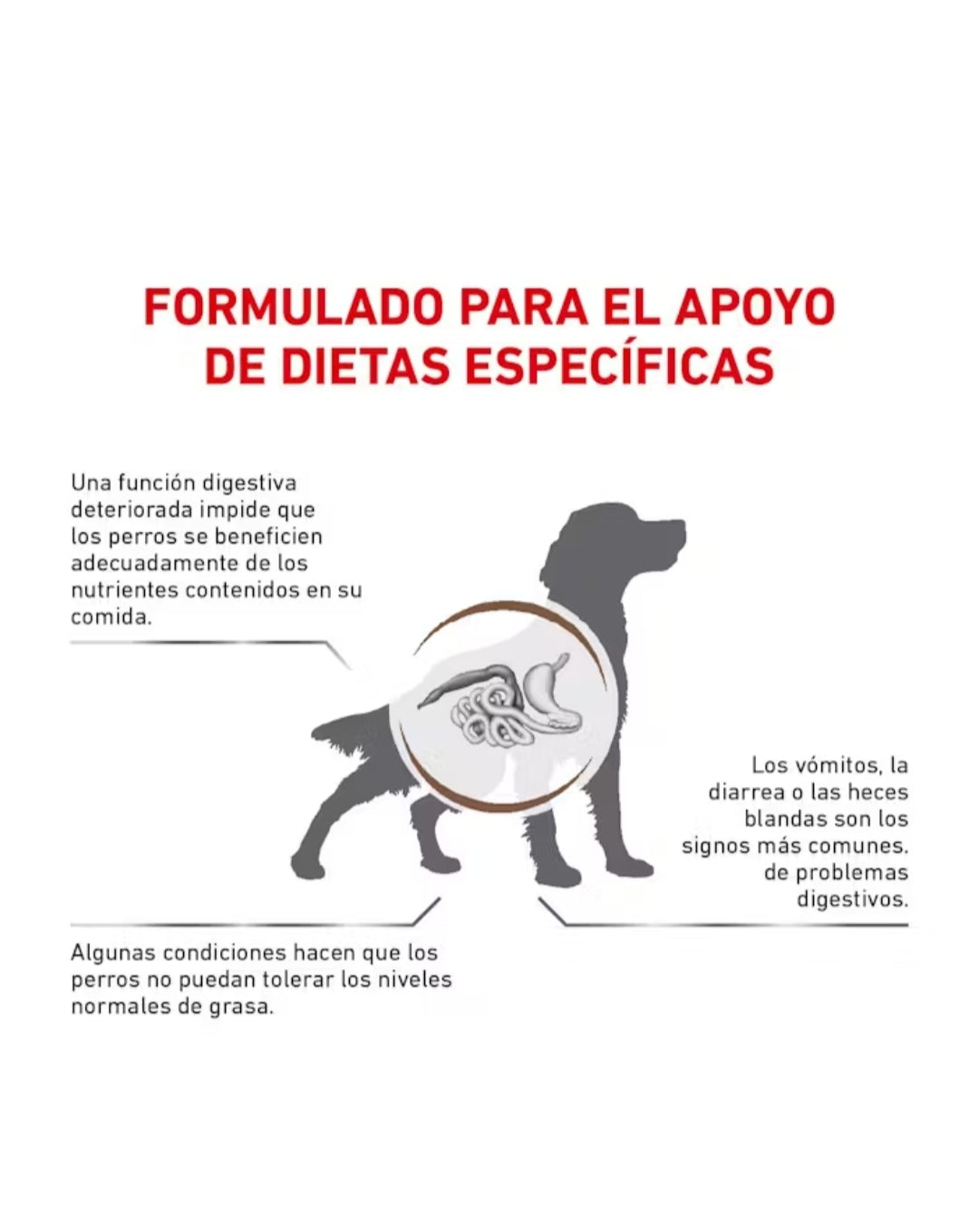 Royal Canin Gastrointestinal Low Fat