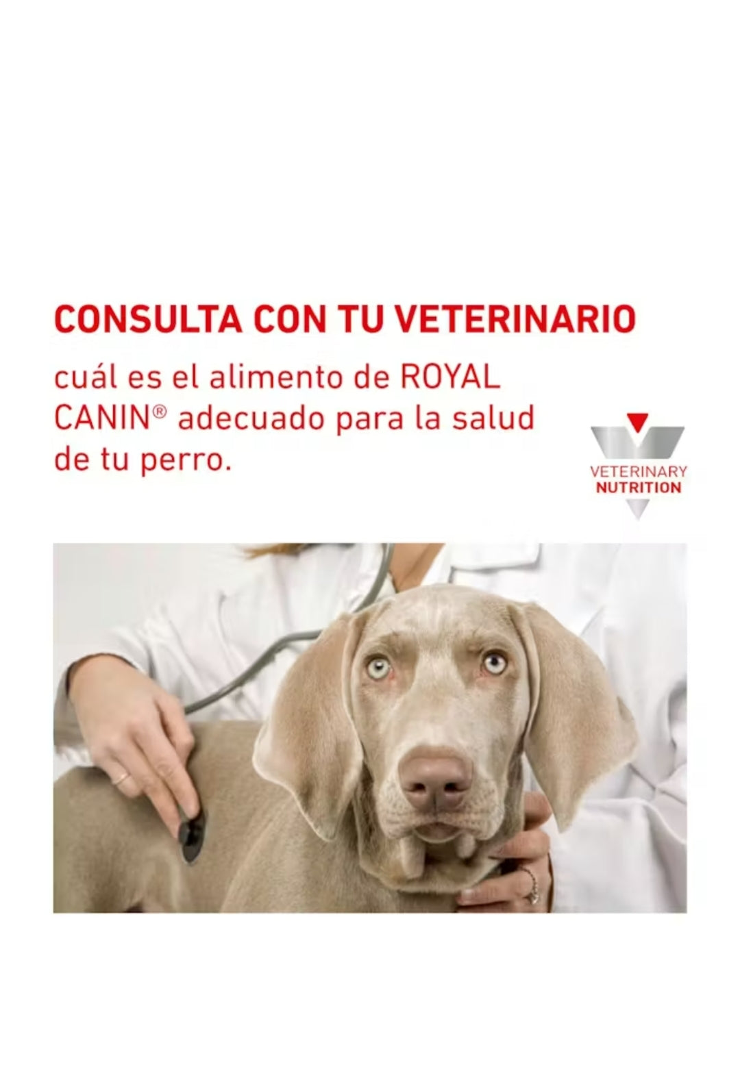 Royal Canin Glycobalance para Perro