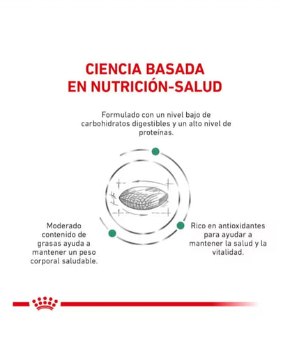 Royal Canin Glycobalance para Gato