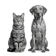Royal Canin Diabetic