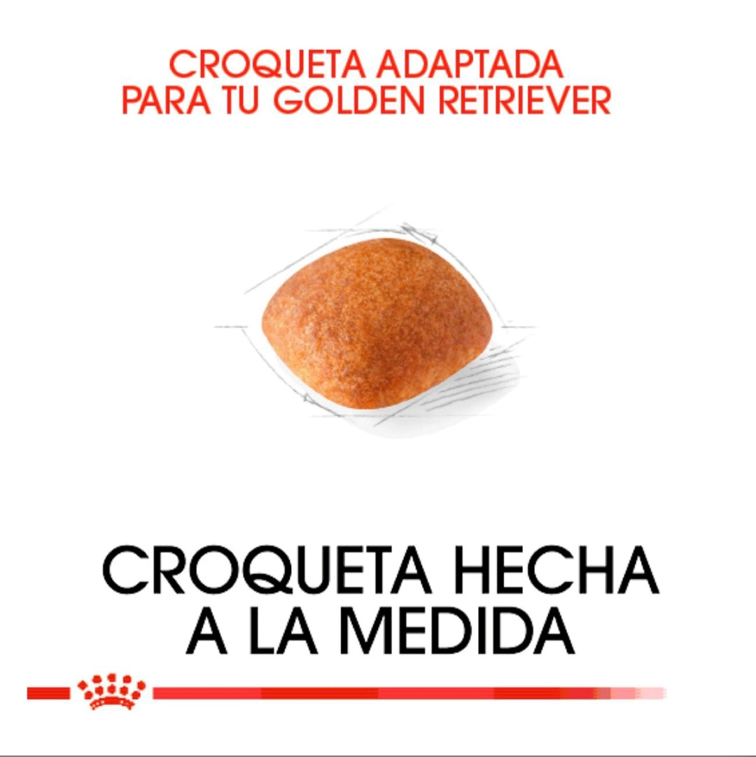Royal Canin Golden Retriever Adulto