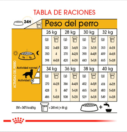 Royal Canin Golden Retriever Adulto